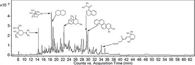 GC-MS Analysis and Gastroprotective Evaluations of Crude Extracts, Isolated Saponins, and Essential Oil from Polygonum hydropiper L.